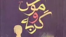 گستره علایق فانی در آثارش

