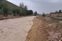 آخرین خبر از گم‌شدگان سیلاب مینودشت/ یک نفر زنده پیدا شد