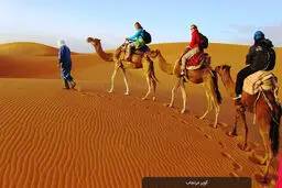 ستاد امر به معروف ورود به کویر مرنجاب را ممنوع کرد 

