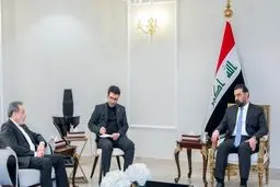 عراقچی بر حمایت ایران از عراق تاکید کرد
