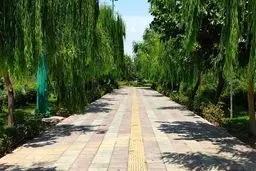 پیشرفت سریع پروژه آبرسانی به بوستان سرخه حصار