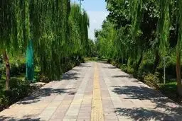 پیشرفت سریع پروژه آبرسانی به بوستان سرخه حصار
