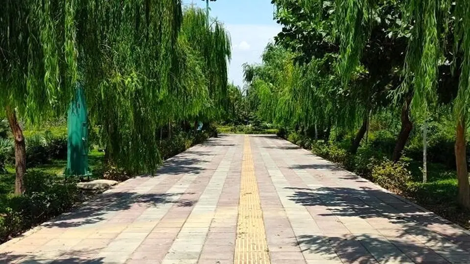 پیشرفت سریع پروژه آبرسانی به بوستان سرخه حصار