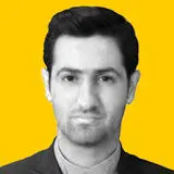 امیر ثامنی