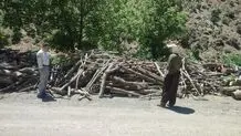 کشف بیش از یک تن چوب قاچاق در کامیاران