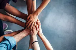 تحقیق یا اعتماد؟

