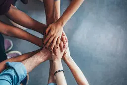 تحقیق یا اعتماد؟

