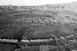 شهر تاریخی اردشیر خوره  به چراگاه تبدیل شد