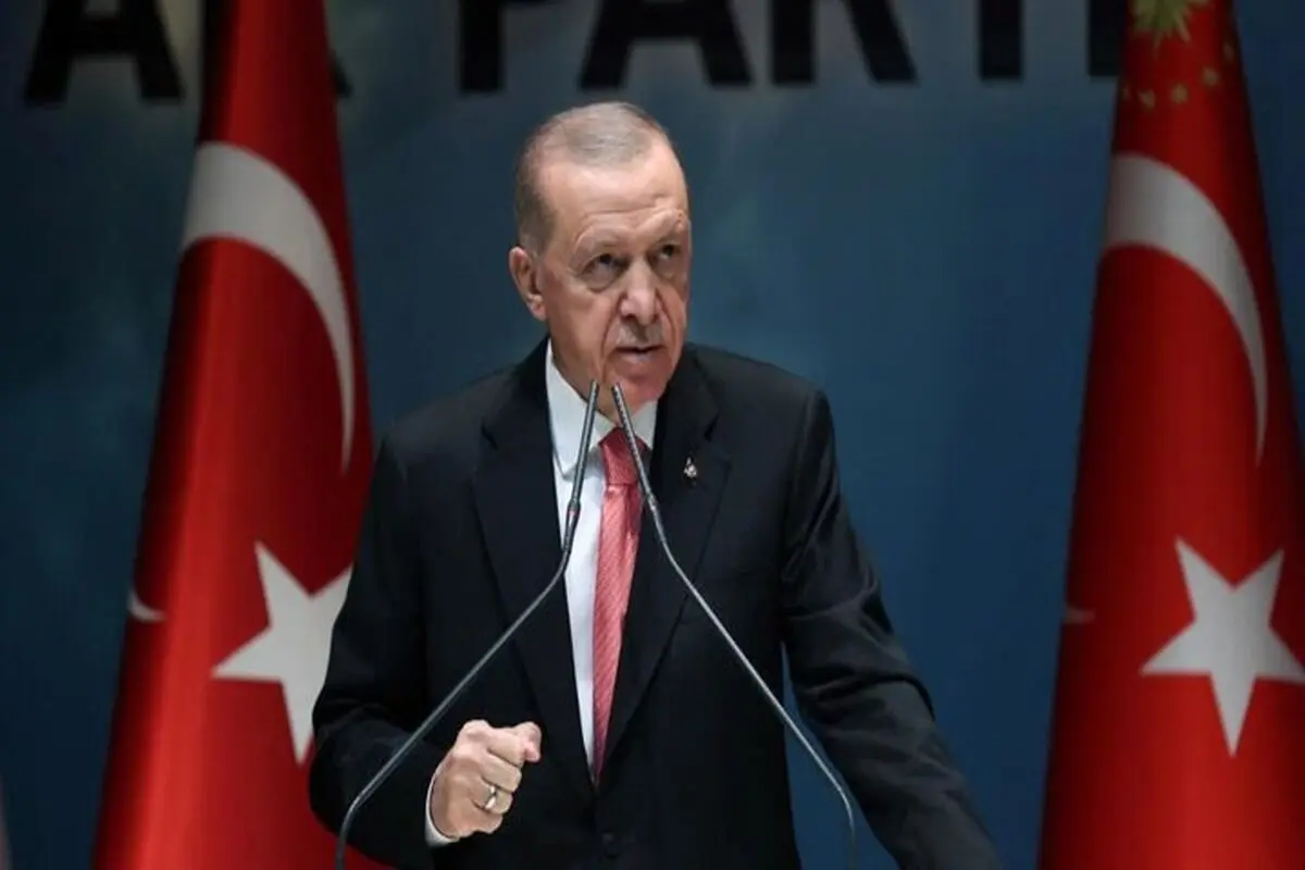 Erdogan urges West to stop Israel in Syria
