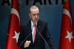 Erdogan urges West to stop Israel in Syria
