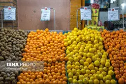 دستگیری سارق میدان تره بار ساعاتی پس از سرقت