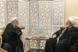 دیدار عبدالله نوری با مهدی کروبی