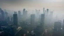 ناجیان خاموش در جنگ  آلودگی هوا
