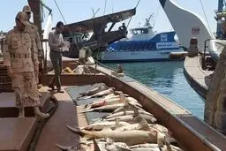 تشدید برخورد با صیدغیرمجاز در استان خوزستان