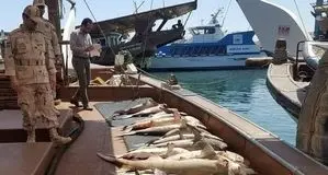 تشدید برخورد با صیدغیرمجاز در استان خوزستان