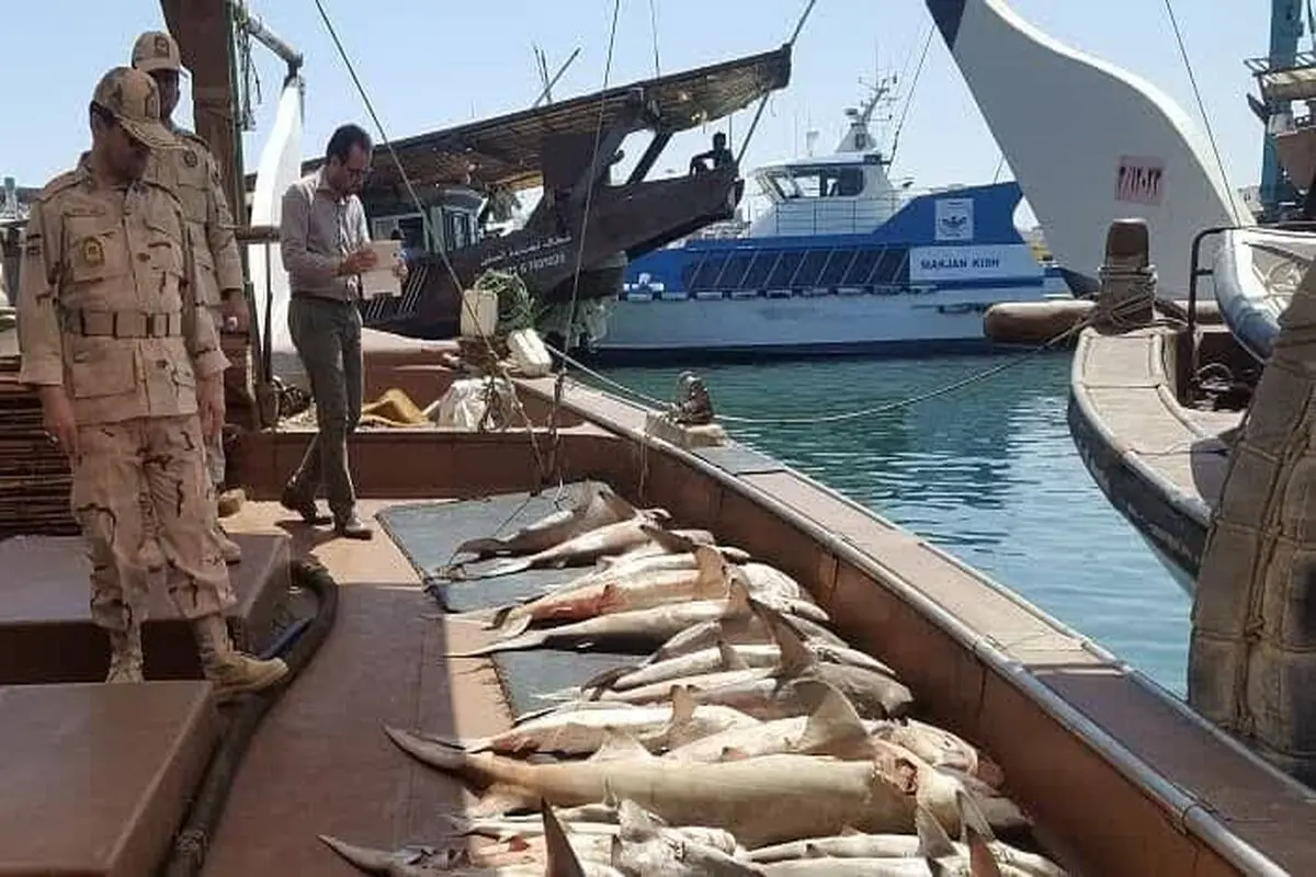 تشدید برخورد با صیدغیرمجاز در استان خوزستان