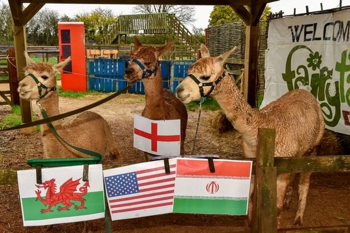 باخت انگلیس مقابل ایران در جام جهانی!