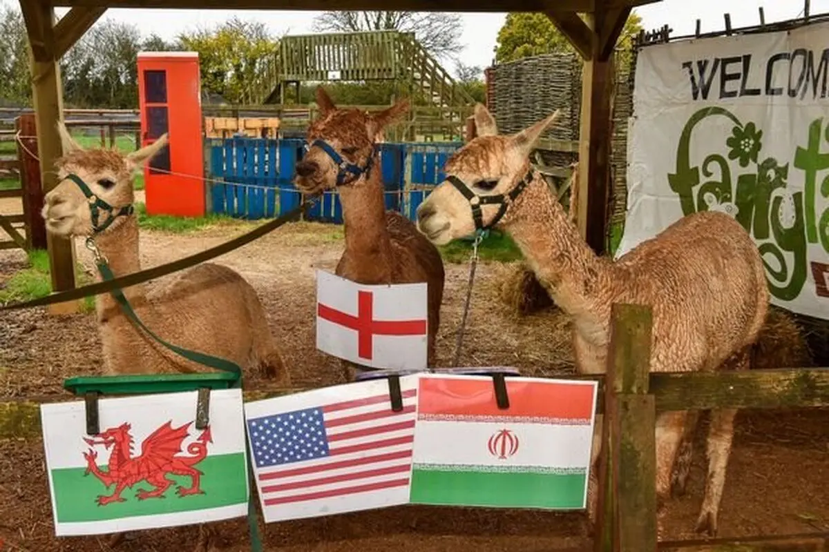 باخت انگلیس مقابل ایران در جام جهانی!