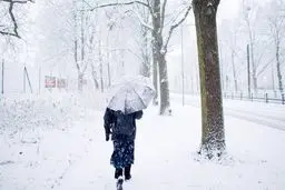  یک روستا در برف گم شد/ فیلم