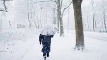  یک روستا در برف گم شد/ فیلم