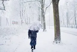  یک روستا در برف گم شد/ فیلم