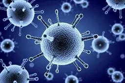 خبر جدید درباره میزان شیوع آنفلوانزا در کشور / آغاز پیک بیماری‌های تنفسی با گردش ویروس سرماخوردگی