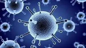 خبر جدید درباره میزان شیوع آنفلوانزا در کشور / آغاز پیک بیماری‌های تنفسی با گردش ویروس سرماخوردگی