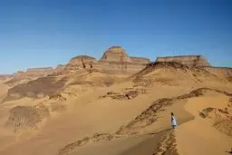 کشف گونه گم شده انسان 