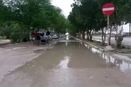 پیش‌بینی هوای مازندران و ساری؛ یکشنبه ۱۴ بهمن