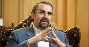‌سنایی: کناره‌گیری ظریف  بر دولت تحمیل شد

