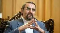 ‌سنایی: کناره‌گیری ظریف  بر دولت تحمیل شد

