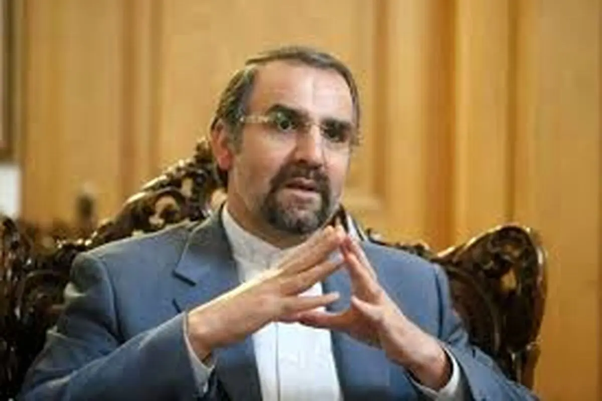 ‌سنایی: کناره‌گیری ظریف  بر دولت تحمیل شد

