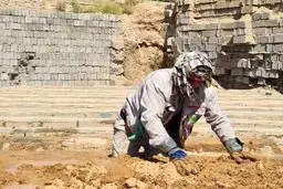 این یک تصویر واقعی‌ است