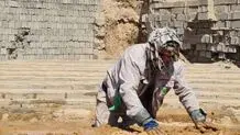 این یک تصویر واقعی‌ است