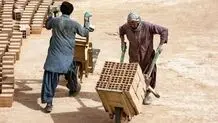 آخرین آمار مهاجرین افغان در بازار کار