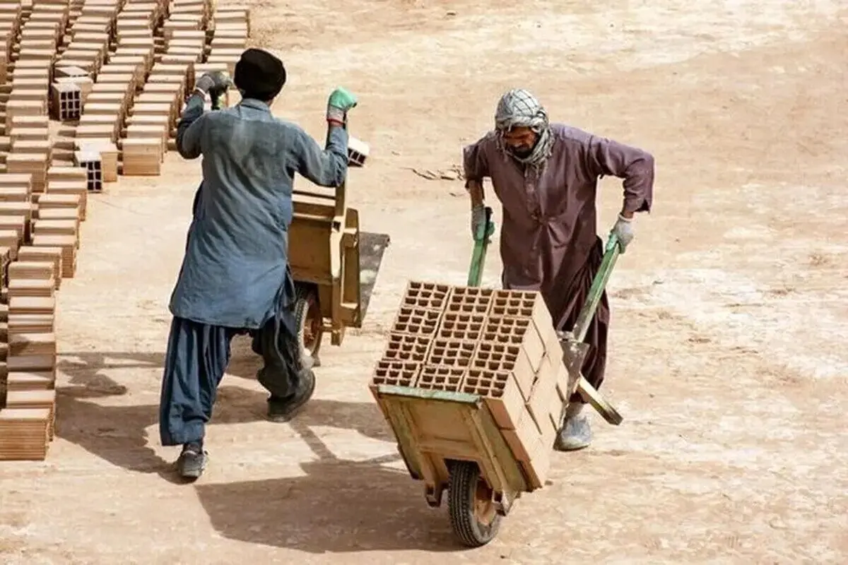 آخرین آمار مهاجرین افغان در بازار کار