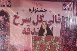 قالی گل سرخ اسفندقه جیرفت جهانی می شود