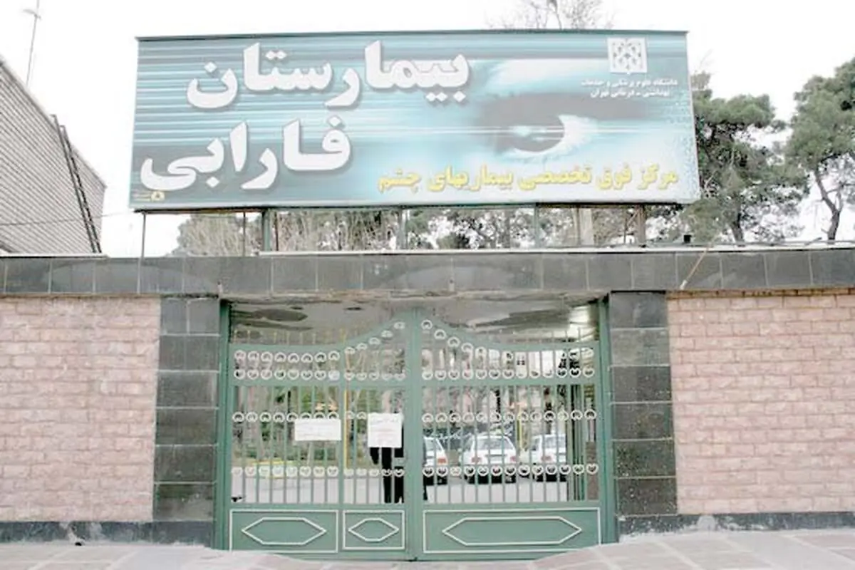 تلاش برای دوباره دیدن
