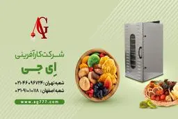 چگونه کار میوه خشک کنی را شروع کنیم؟