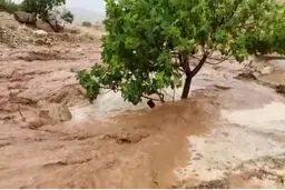 وضعیت جوی هرمزگان قرمز شد