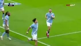 گل دوم منچسترسیتی به نیوکاسل+ ویدئو