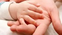 آماری عجیب و تکان‌دهنده: بیش از ۲۰ درصد زوج‌های ایرانی نابارورند