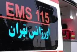 سرقت از یک ‌آمبولانس در یک مأموریت حیاتی 