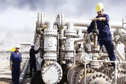 بوروکراسی نفت، تابعی از  بدبینی