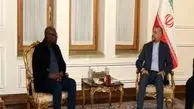 FM Amir-Abdollahian stresses bolstering ties with Guinea