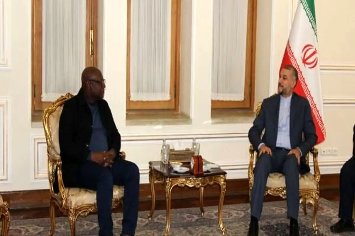 FM Amir-Abdollahian stresses bolstering ties with Guinea