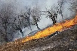 وقوع آتش‌سوزی سنگین در پارک ملی ساریگل