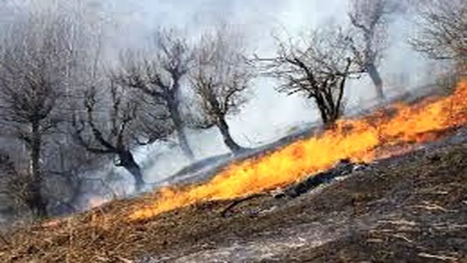 وقوع آتش‌سوزی سنگین در پارک ملی ساریگل