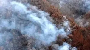 آتش‌سوزی در جنگل های ماهور میلاتی ممسنی / آتش پس از هشت روز مهار شد