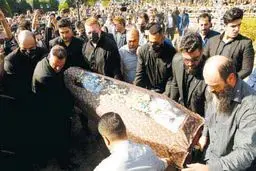 بازگشت به زادگاه